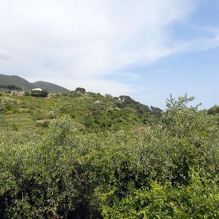 Villa Caribe Affittacamere Monterosso al Mare Luaran gambar
